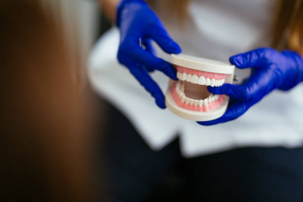  Westlake Vlage, IL Holistic Dental Care Services Pros